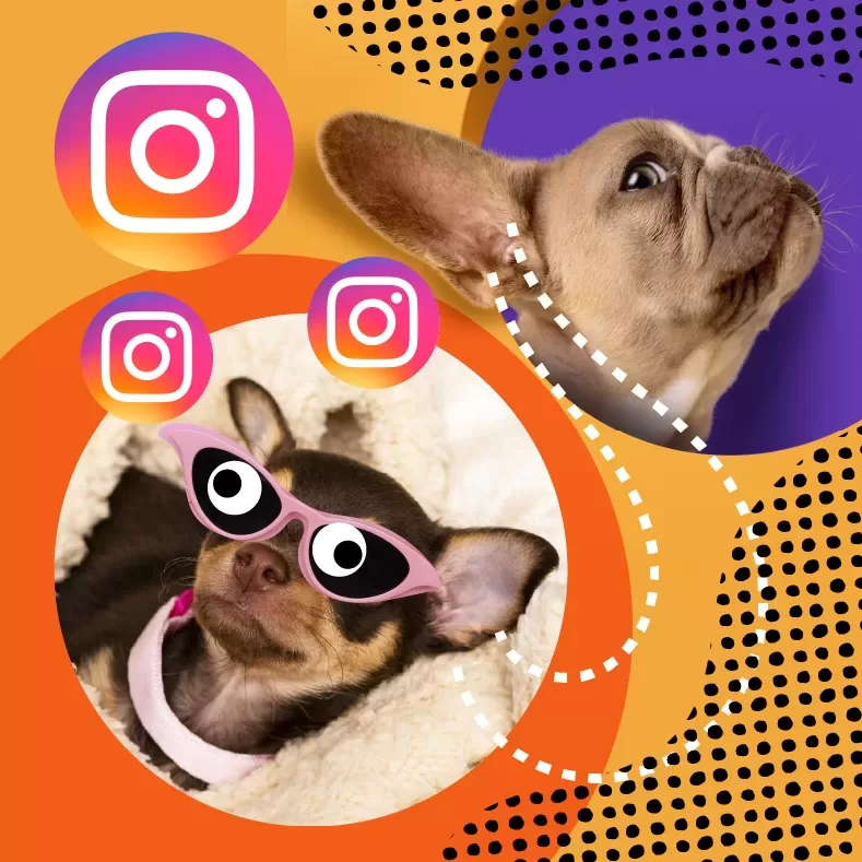 Imagen ilustrativa para la entrada 'Hacks sobre cómo crear contenido para crecer en Instagram'