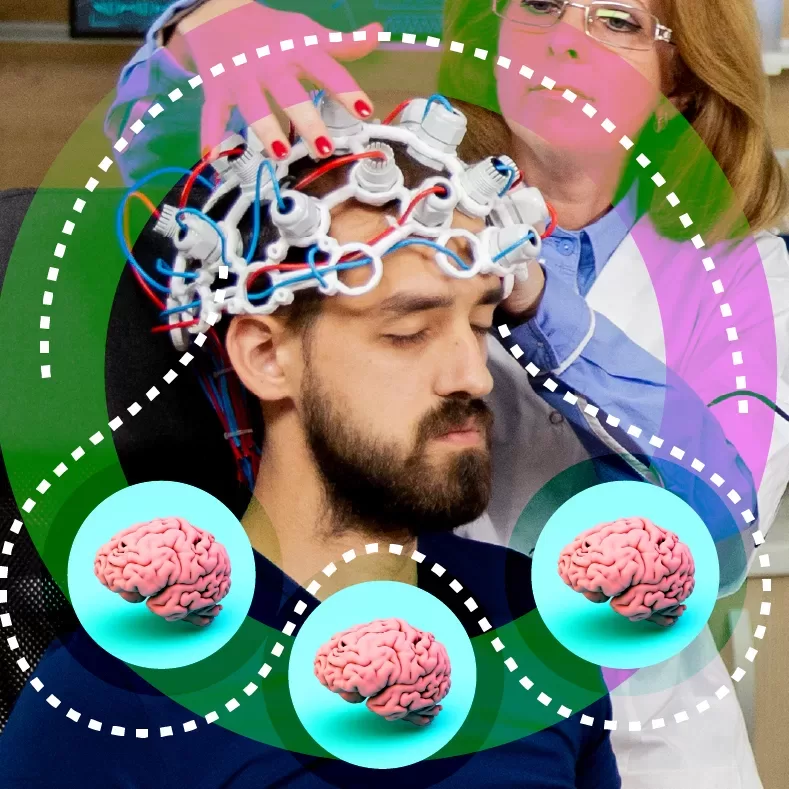 Imagen ilustrativa para la entrada 'Neuromarketing y los tres cerebros'